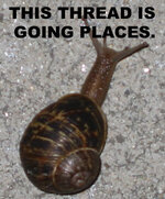 goingplaces.jpg goingplaces.jpg