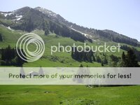 roadtrip013.jpg