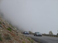 DSC08569.jpg