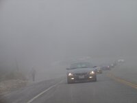 DSC08579.jpg