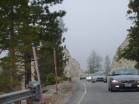 DSC08580.jpg