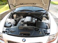Z4SUMMERDETAIL299.jpg