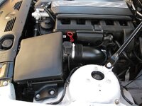 Z4SUMMERDETAIL303.jpg