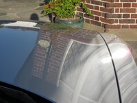 Z4SUMMERDETAIL158.jpg