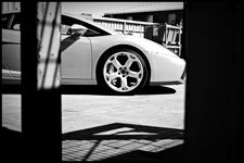 lambo4.jpg