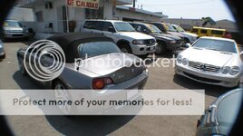IMG_0737.jpg