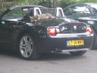 Z49.jpg