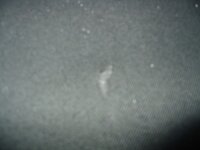 IMG_0007.jpg