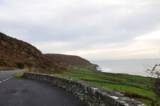 DSC_0220.jpg