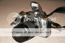 IMG_3819.jpg