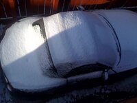 z4snow.jpg