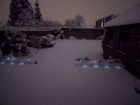 backgarden.jpg