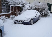 z4msnow.jpg