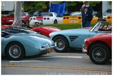 IMG_6872.jpg