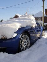 z4_snow.jpg