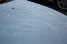 FROSTYZ4034.jpg