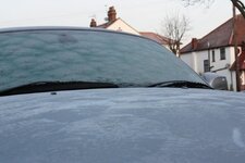FROSTYZ4041.jpg