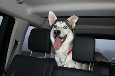 interior.jpg