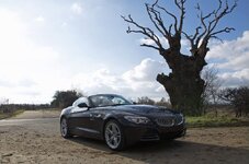 Z4tree.jpg Z4tree.jpg