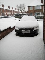 IMG_4363.jpg