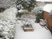 IMG_4365.jpg