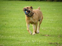 DSCF5118.jpg
