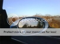 70835069.jpg