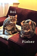 RoiFish.jpg