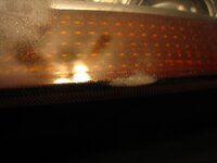 IMG_5561.jpg IMG_5561.jpg