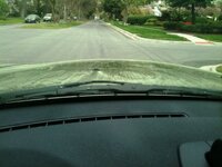 pollen3.jpg