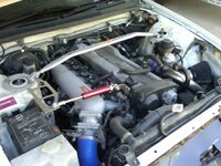 IMG00301-20091104-0829.jpg