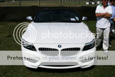 Z4_GW_Spotted_6.jpg