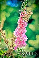 img_9439-2.jpg