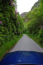 beeno10060.jpg beeno10060.jpg
