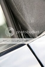 IMG_6529.jpg