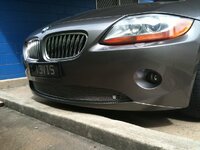 IMG_0087.jpg