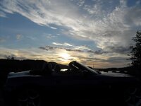 SDC11803.jpg