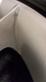 SAM_0619.jpg