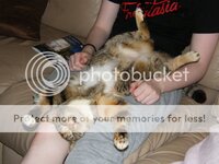 Picture019.jpg