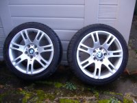 Rears.JPG