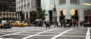 48D83370-008E-4195-9F56-BB8780AADF36.jpeg