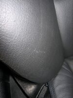 IMG_6994.jpg IMG_6994.jpg
