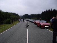 17-08-201015-36-16_0001.jpg