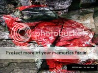 1solidrock_edited-1.jpg