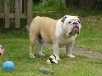 IMG_1000000013.jpg
