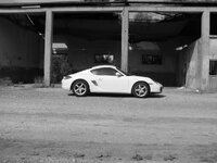 IMG_8944.jpg