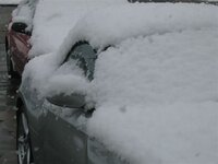 Snow06042008125.jpg