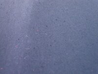 DSC00524-1.jpg