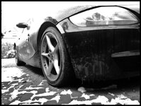 IMG_0083.jpg