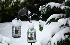 IMG_0734.jpg